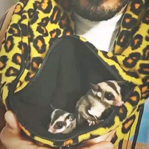 Pet Bonding Scarf (Snake) - Carry Bonding Pouch - for Chinchillas, Hedgehogs, Rats, Sugar Gliders, Guinea Pigs, Rabbits, Hamsters, Gerbils, Squirrels, Ferrets, Kittens, Parrots, Birds, Reptiles