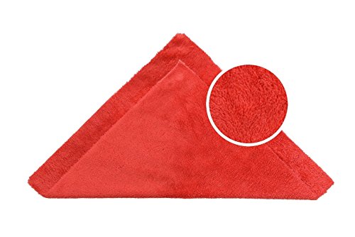 bbnmore Premium Microfiber Towels, Car Drying Wash Detailing Buffing Waxing Polishing Towel with Plush Edgeless Microfiber Cloth, 450 GSM 16x16 inch Pack of 6 (red)