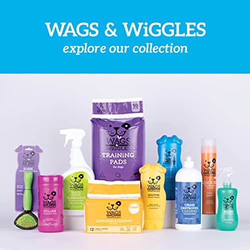 Wags & Wiggles Soothe Oatmeal Dog Shampoo in Warm Vanilla Scent | Oatmeal Dog Shampoo for All Dogs With Dry, Itchy, and Sensitive Skin | Dog Supplies, 16 Ounces