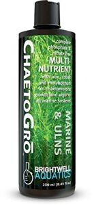 brightwell aquatics chaeto gro - multi-nutrient supplement for chaetomorpha growth in all marine aquariums, 250 ml