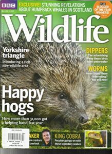bbc wild life magazine, march, 2017 vol. 35 no. 3 happy hogs