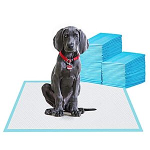 bestle large pet training and puppy pads pee pad for dogs 24"x24"-80 count super absorbent & leak-proof