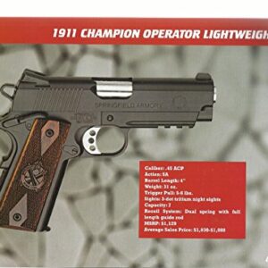 CARRY GUN COMPANION, 2nd AMENDMENT MEDIA (HIGHLIGHTING HANDGUNS FOR TODAY'S CONS