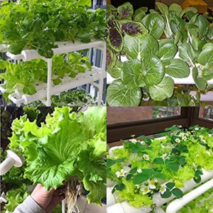 LAPOND Hydroponic Grow Kit, Hydroponics Growing System 3 Layers 108 Plant Sites Food-Grade PVC-U Pipes Hydroponic Planting Equipment with Water Pump, Pump Timer for Leafy Vegetables