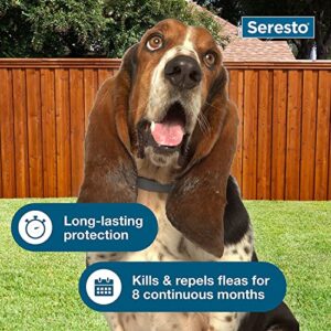 Seresto Flea Tick Collar 1 Large Dog + 1 Small Dog