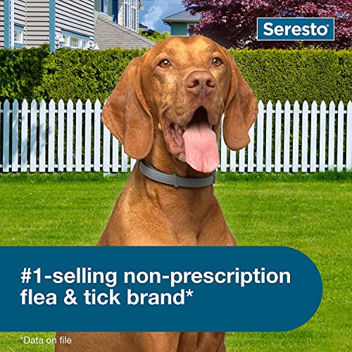 Seresto Flea Tick Collar 1 Large Dog + 1 Small Dog