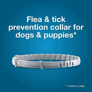 Seresto Flea Tick Collar 1 Large Dog + 1 Small Dog