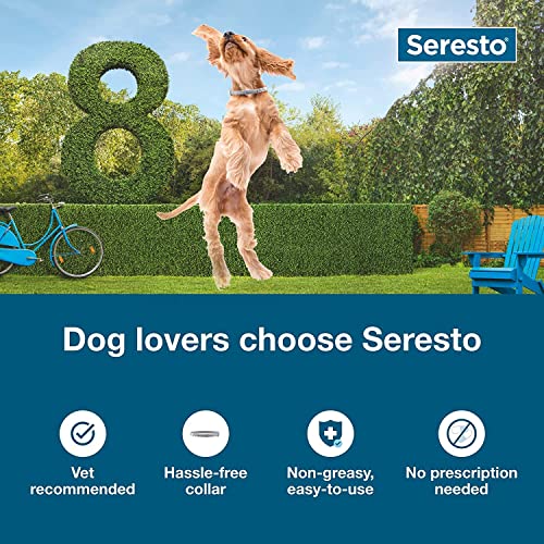 Seresto Flea Tick Collar 1 Large Dog + 1 Small Dog