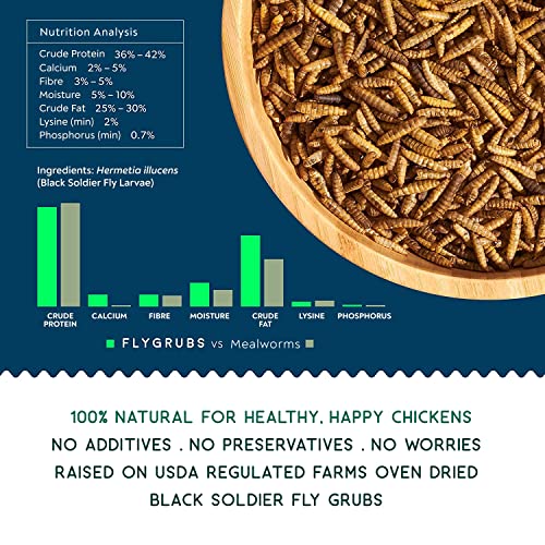 FLYGRUBS Superior to Dried Mealworms for Chickens (5lb) - 85X More Calcium Than Live mealworms - Non-GMO Chicken Feed - BSFL Treats for Hens, Ducks, Turkeys, Wild Birds, Turtles, Quails