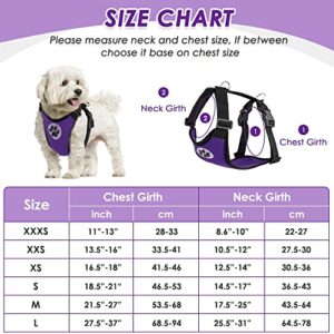 Lukovee Dog Safety Vest Harness with Seatbelt, Dog Car Harness Seat Belt Adjustable Pet Harnesses Double Breathable Mesh Fabric with Car Vehicle Connector Strap for Dog (Medium, Purple)