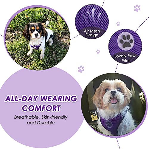 Lukovee Dog Safety Vest Harness with Seatbelt, Dog Car Harness Seat Belt Adjustable Pet Harnesses Double Breathable Mesh Fabric with Car Vehicle Connector Strap for Dog (Medium, Purple)