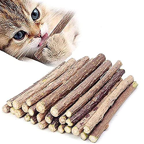 10 PCS Catnip Sticks Organic Cat Chew Toys Natural Plant Matatabi Silvervine Chew Sticks Cat Teeth Cleaning Chew Toy Cat Kitten Kitty 1