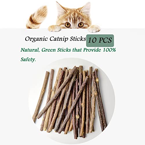 10 PCS Catnip Sticks Organic Cat Chew Toys Natural Plant Matatabi Silvervine Chew Sticks Cat Teeth Cleaning Chew Toy Cat Kitten Kitty 1