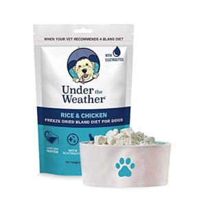 under the weather bland diet for dogs | easy to digest for sick dogs | contains electrolytes, gluten-free, all natural | freeze-dried 100% human grade meats | 1 pack - chicken, rice - 6oz