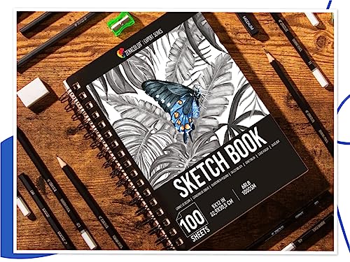 ZENACOLOR - Professional 200 Sheets Sketch Book 9"x12" with Spiral Bound and Hardback Cover - Pack of 2 - White Acid-Free Drawing Paper (100 g)