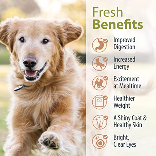 JustFoodForDogs Pantry Fresh Dog Food, Human Grade Chicken & White Rice (12 Pack)