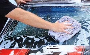 Blackfire Pro Detailers Choice BF-100 Car Wash, 32 oz.