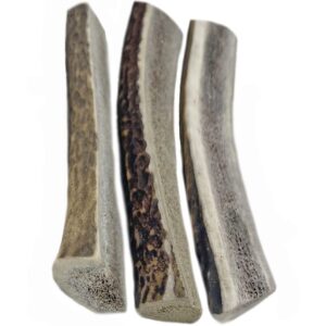 whitetail naturals| usa prime split-cut elk antlers for dogs | 3 pack small | all natural dog chews | naturally shed, cruelty-free- half antler horn chew toy