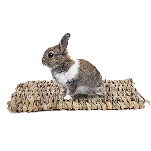 BESAZW Rabbit Mat,Grass Mats for Rabbits,Safe & Edible Rabbit Mats for Cages,Bunny Chew Toys for Rabbits (C:15.7"x11"(2 Pack))