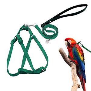 ASOCEA Adjustable Feather Tether Bird Harness and Leash for Macaw Cockatoos Amazon Parrot Medium to Large Breed Parrots Fits Birds Chest Between 33-50cm/13-19.7inch - M