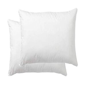 danmitex square throw pillow insert, decorative pillow stuffer, down and feather filled, cotton fabric (white), 20x20, set of 2, suitable for home, bed