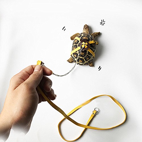 Vehomy Turtle Leash Lizard Leash Tortoise Harness Strap Pet Collar Leash Tortoise Walking Lead Control Rope S