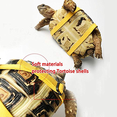 Vehomy Turtle Leash Lizard Leash Tortoise Harness Strap Pet Collar Leash Tortoise Walking Lead Control Rope S