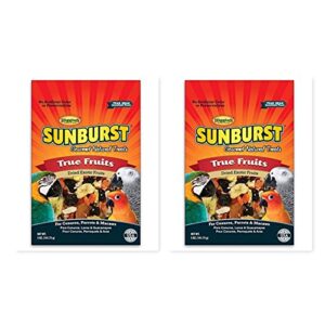 higgins 2 pack sunburst true fruits gourmet treats for conures, parrots & macaws, 5 oz. ea. fast delivery!!