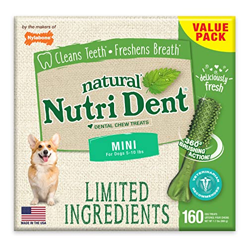 Nylabone Nutri Dent Dog Dental Treats - Natural Dog Teeth Cleaning & Breath Freshener - Dental Treats for Dogs - Fresh Breath Flavor, Mini (160 Count)