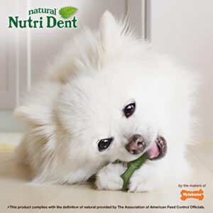 Nylabone Nutri Dent Dog Dental Treats - Natural Dog Teeth Cleaning & Breath Freshener - Dental Treats for Dogs - Fresh Breath Flavor, Mini (160 Count)