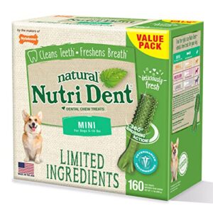 Nylabone Nutri Dent Dog Dental Treats - Natural Dog Teeth Cleaning & Breath Freshener - Dental Treats for Dogs - Fresh Breath Flavor, Mini (160 Count)