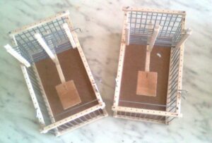 set of two bird trap cage : : can be used as transport cage