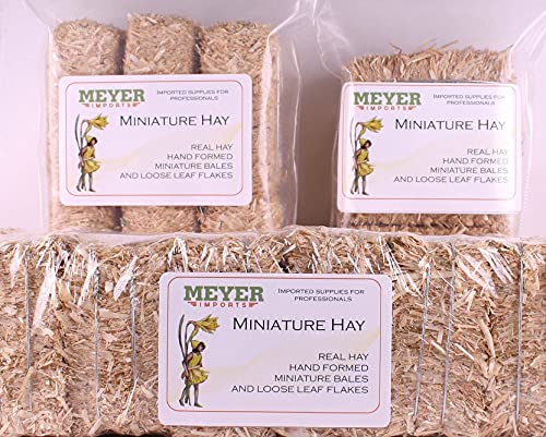 Meyer Imports Mini Hay Bales - Small - (Pack of 3) Small Decorative Hay – for Craft/Dollhouse/Farm/Halloween/Table Decoration - 2.5 x 1 Inches Each