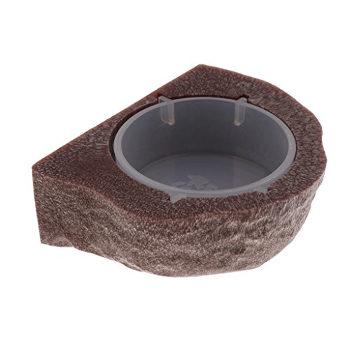 SM SunniMix Magnetic Reptile Feeding Cup Gecko Feeder Ledge Cups Dish Bowl Spider, Brown