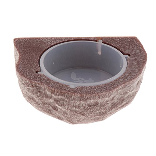 SM SunniMix Magnetic Reptile Feeding Cup Gecko Feeder Ledge Cups Dish Bowl Spider, Brown