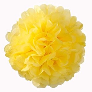 HappyField Honey and Bee Baby Shower Decorations Yellow Cream Black Tissue Paper Pom Poms Flower Paper Lanterns for Honey Bee Birthday Party Wedding Bridal Shower Outdoor Decoration 18Pcs Mixed 8" 10"