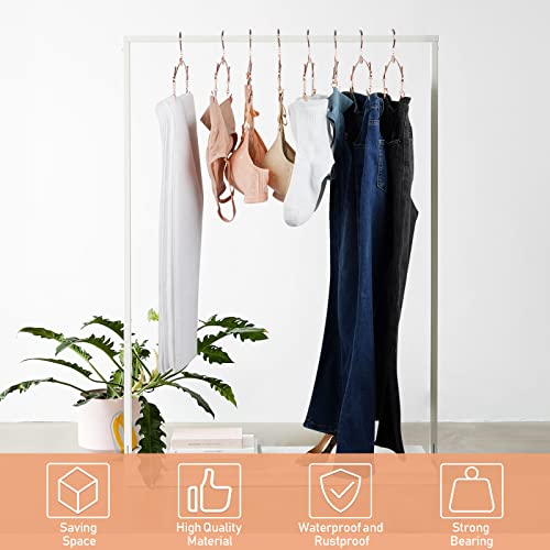 Exttlliy Metal Underwear Bra Rack Durable Fashion Children Clothes Hangers Hook Lingerie Shop Display Hanger with Clips (Rose Gold, 10PCS)