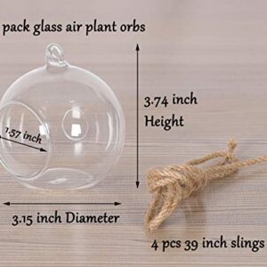 TQVAI 4 Pack Hanging Glass Globe Air Planter Terrarium Vase with 39 inch Sling (Not Included The Plants)