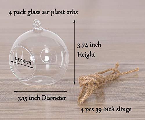 TQVAI 4 Pack Hanging Glass Globe Air Planter Terrarium Vase with 39 inch Sling (Not Included The Plants)