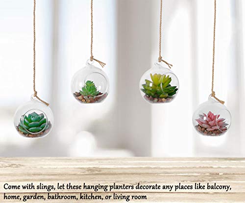 TQVAI 4 Pack Hanging Glass Globe Air Planter Terrarium Vase with 39 inch Sling (Not Included The Plants)