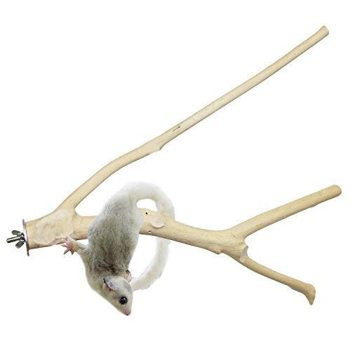 Multi-Branch Perch (Large) - Durable Natural Climbing Branch Perch Cage Accessory - Sugar Gliders, Squirrels, Prairie Dogs, Degus, Marmosets, Monkeys, Parrots, Birds, Rats, Reptiles, Amphibians