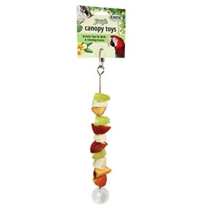 stainless steel fruit skewer - durable treat foraging cage accessory toy - sugar gliders, rats, chinchillas, ferrets, parrots, hamsters, squirrels, hedgehogs, guinea pigs, rabbits & other small pets
