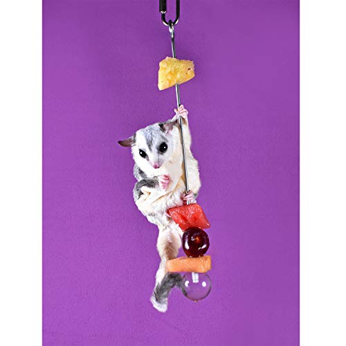 Stainless Steel Fruit Skewer - Durable Treat Foraging Cage Accessory Toy - Sugar Gliders, Rats, Chinchillas, Ferrets, Parrots, Hamsters, Squirrels, Hedgehogs, Guinea Pigs, Rabbits & Other Small Pets