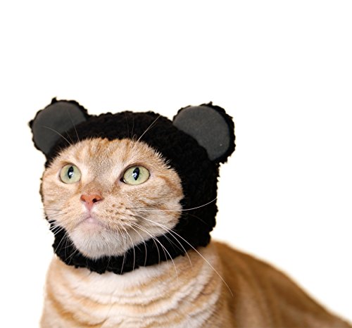 Kitan Club Cat Cap - Pet Hat Blind Box Includes 1 of 6 Cute Styles - Soft, Comfortable - Authentic Japanese Kawaii Design - Animal-Safe Materials, Premium Quality (Bear)