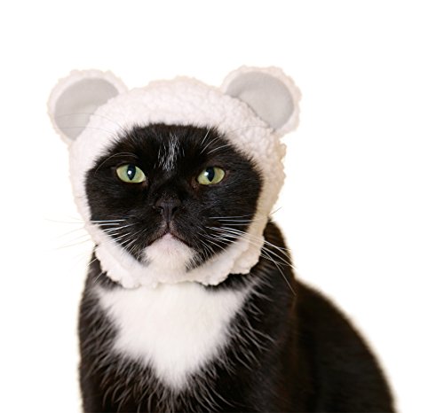 Kitan Club Cat Cap - Pet Hat Blind Box Includes 1 of 6 Cute Styles - Soft, Comfortable - Authentic Japanese Kawaii Design - Animal-Safe Materials, Premium Quality (Bear)