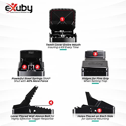 eXuby Large Powerful Rat Traps (4 Pack) - Kills Instantly with Powerful Steel Spring - Setup in Seconds - Wash & Reuse Over & Over - Hands Free Disposal - Rat Control Without Harmful Poisons or Chem