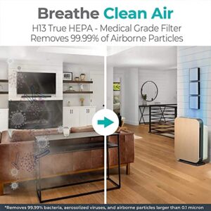 Alen BreatheSmart 75i Quiet Large Room HEPA Air Purifier, Medical Grade Filtration, 99.9% Particle Removal, Pet-Friendly, Smart Home Essential, Allergies, Odor & Smoke, Long Filter Life, White