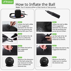 Trideer Ball Chair Yoga Ball Chair Exercise Ball Chair with Base for Home Office Desk, Stability Ball & Balance Ball Seat to Relieve Back Pain, Home Gym Workout Ball for Abs, Pregnancy Ball with Pump