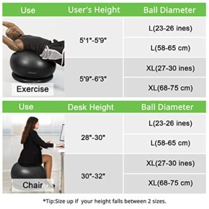 Trideer Ball Chair Yoga Ball Chair Exercise Ball Chair with Base for Home Office Desk, Stability Ball & Balance Ball Seat to Relieve Back Pain, Home Gym Workout Ball for Abs, Pregnancy Ball with Pump