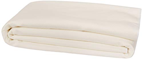 Amazon Basics Conscious Series Cool-Touch Rayon Bamboo Mattress Protector - Queen